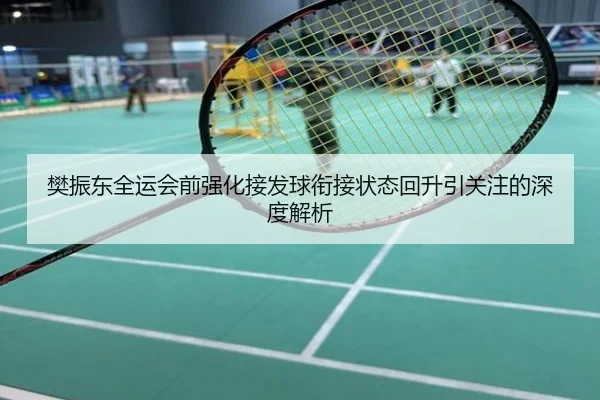 樊振东全运会前强化接发球衔接状态回升引关注的深度解析